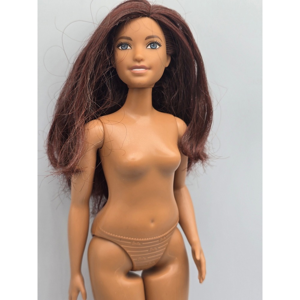 Barbie Fashionistas #66 Curvy Hispanic Doll 2016 Beautiful Butterflies Doll Only
